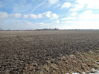 Property photo 15 - LAND AUCTION, 211+/- Acres offered in 3 Tracts